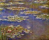 Water-Lilies 06